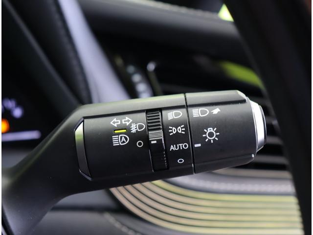 ���I�[�g���C�g��