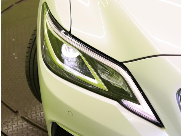 ���k�d�c�w�b�h���C�g��