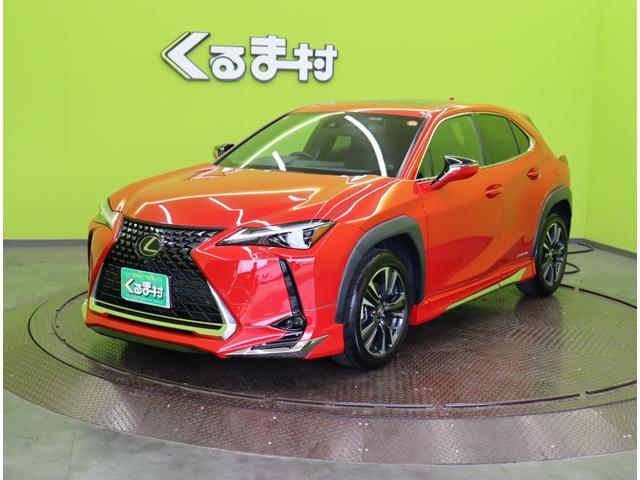 �������f�U�C����