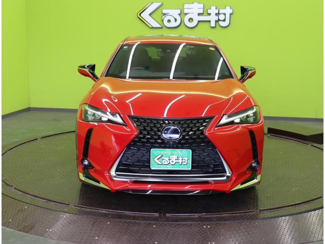 ���P�O�D�R�^�t���Z�O�i�r��