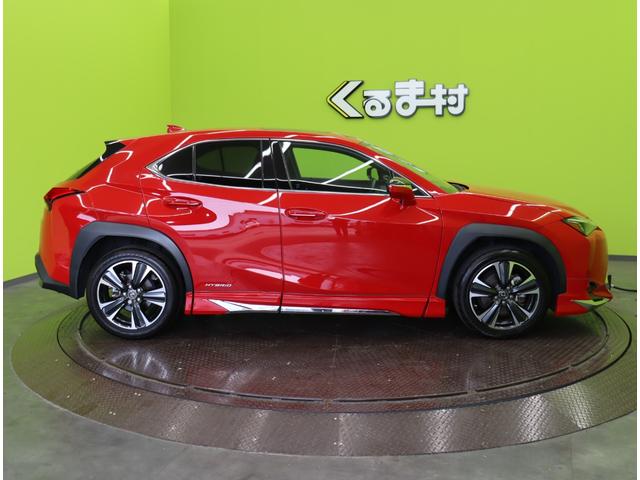 ���p�m���~�b�N�r���[���j�^�[��