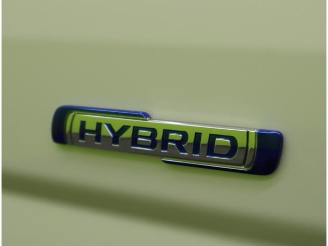 スペーシアカスタム ハイブリッドXS/届出済未使用車/OPカラー/ 9型ナビ&全方位モニター/両側自動ドア/ハーフレザー/スマートキー/デュアルセンサーブレーキII/アダプティブクルコン/アイドリングS/LED/F&Rソナー/15AW/CVT(62枚目)