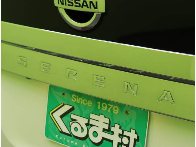 セレナ ｅ－パワー　ハイウェイスターＶ／フロントスポイラー／　１０型フルセグナビ／両側パワースライドドア／プロパイロット／エマブレ／ＬＤＷ／ＢＳＷ／インテリキー／ミラーウインカー／Ｆ＆Ｒソナー／オートＬＥＤ／Ｆスポイラー／１５ＡＷ／７人乗り（57枚目）