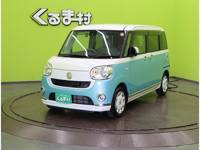 ���_�C�n�c�^���[���L�����o�X�^�w���C�N�A�b�v�@�r�`�h�h�^�p�m���}���j�^�[��