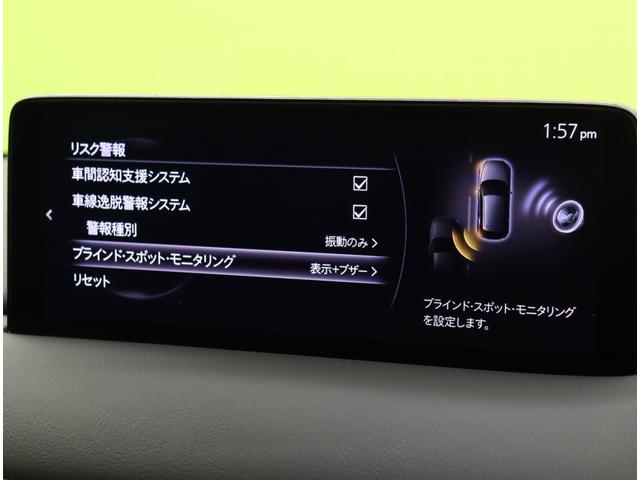 ���u���C���h�X�|�b�g���j�^�����O��