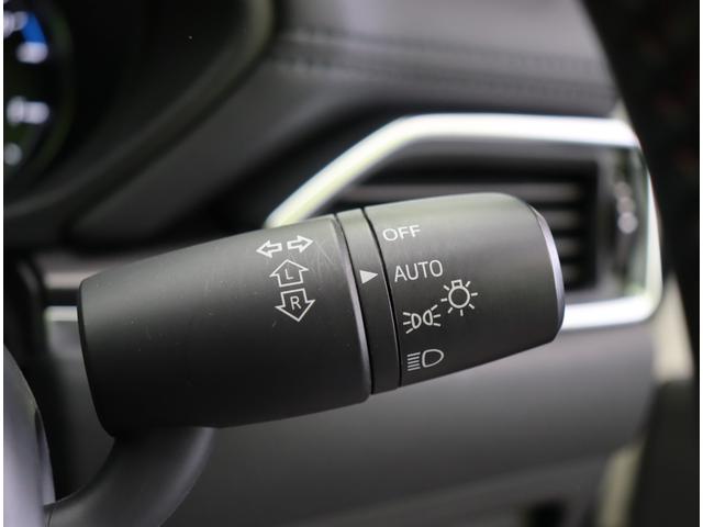 ���I�[�g���C�g��