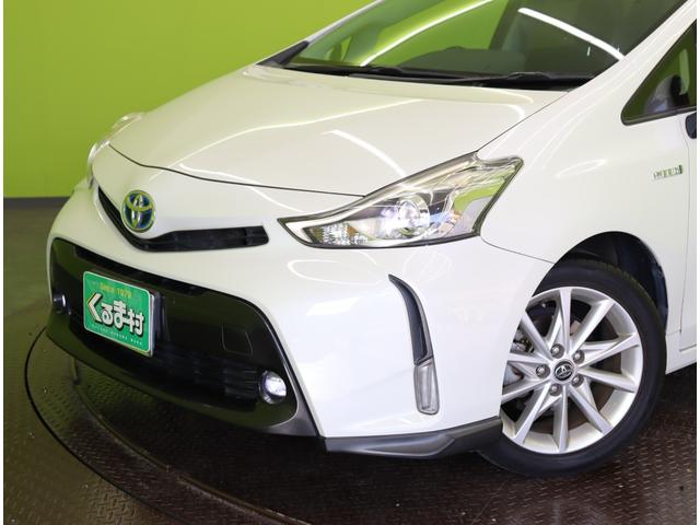 ���t�����g��聚