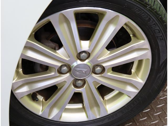 �������P�T�C���`�A���~�z�C�[����