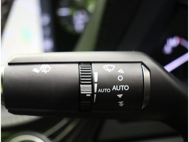 �����C�p�[��