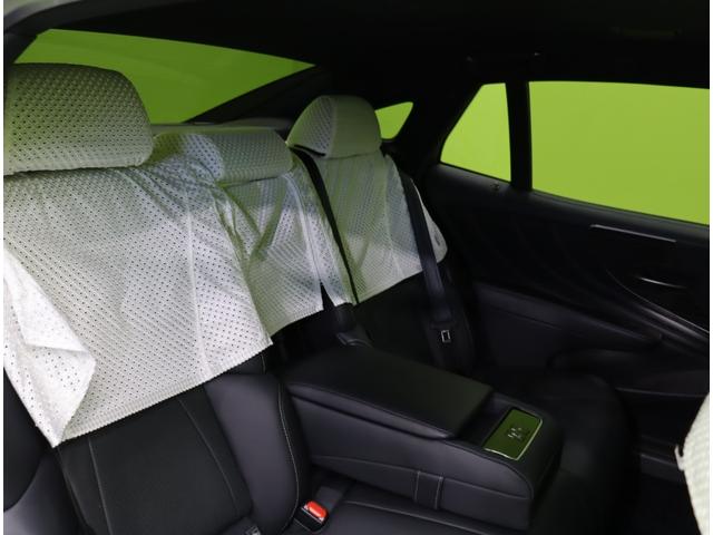 �������f�U�C����