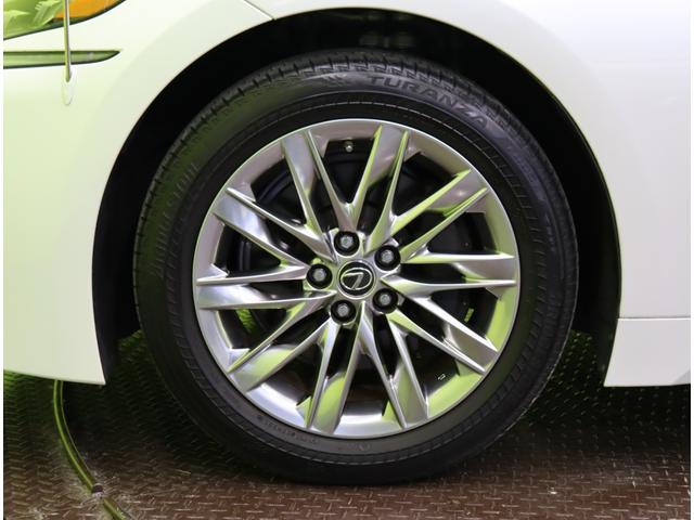 �������P�X�C���`�A���~�z�C�[����