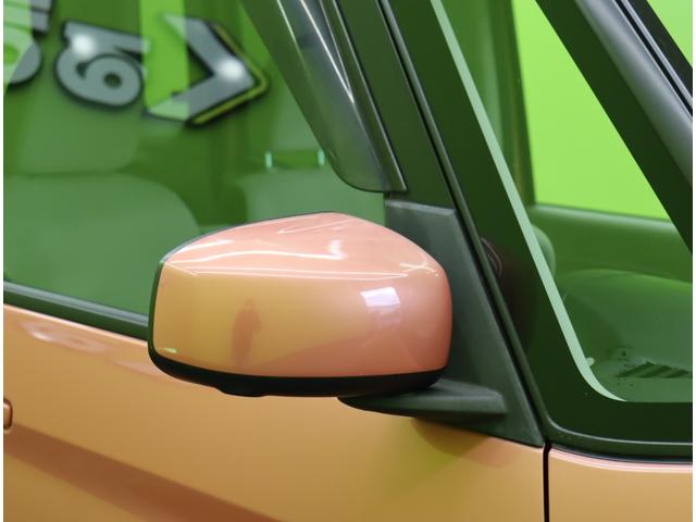 ���h�A�~���[��