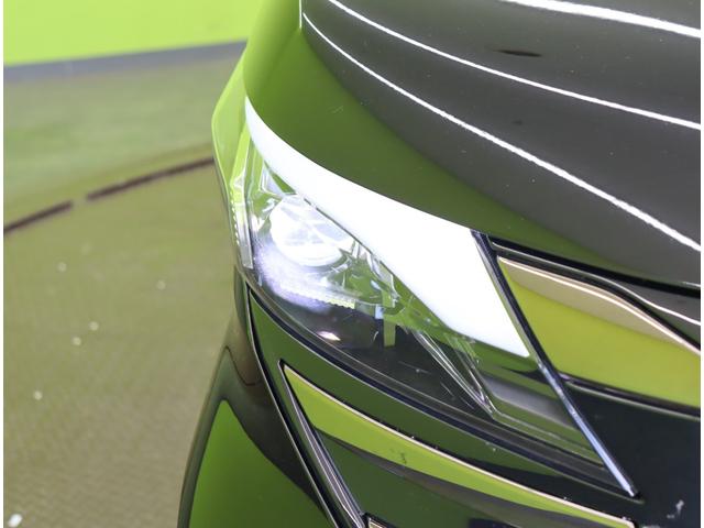 ���k�d�c�w�b�h���C�g��