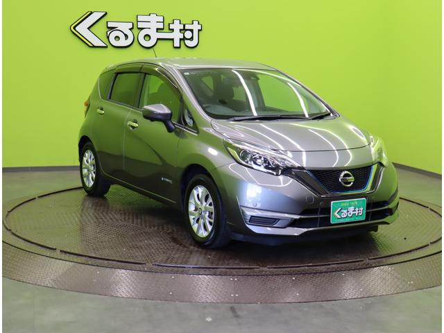 ���{�f�B�J���[�F�_�[�N���^���O���[�l���ׂ��܂�����