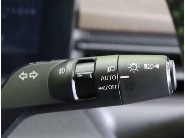 ���I�[�g���C�g��