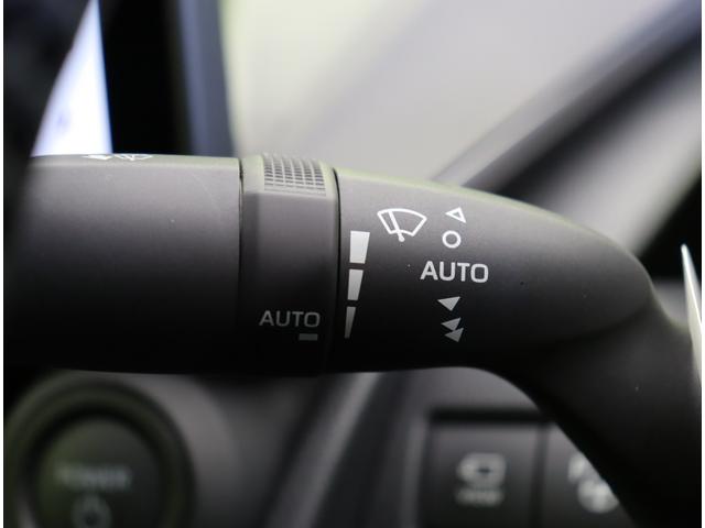 �����C�p�[��