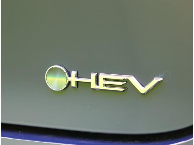 ���Œ��R�N�ۏ؁��ۏؑΏۂ���ԁA�ۏ͈ؔ́A�ۏؓ��e�ɂ͈��̏���������܂��i�ۏ؂͗L���ƂȂ�܂��j��