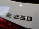 Ｅ２５０　ステーションワゴン　アバンギャルド／黒革／　フルセグナビ／全方位モニター／黒革Ｐシートヒーター／アダプティブクルコン／プレセーフブレーキ／ＢＳＭ／パドルシフト／ＥＴＣ／キーレスゴー／オートＬＥＤ／ルーフレール／１８ＡＷ／７ＡＴ（66枚目）