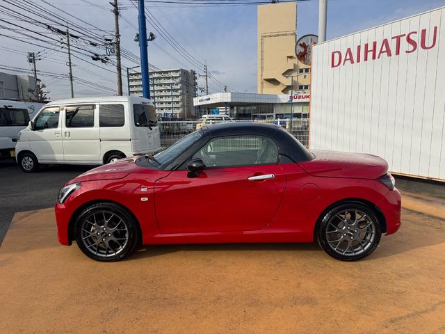 �l�C�̃J���[��