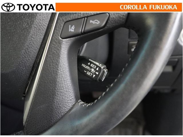 アルファード ２．５Ｓ　Ｃパッケージ　衝突被害軽減システム　両側電動スライド　メモリーナビ　フルセグ　ＥＴＣ　バックカメラ　ドラレコ　後席モニター　ＣＤ　ＤＶＤ再生　キーレス　スマートキー　盗難防止装置（24枚目）