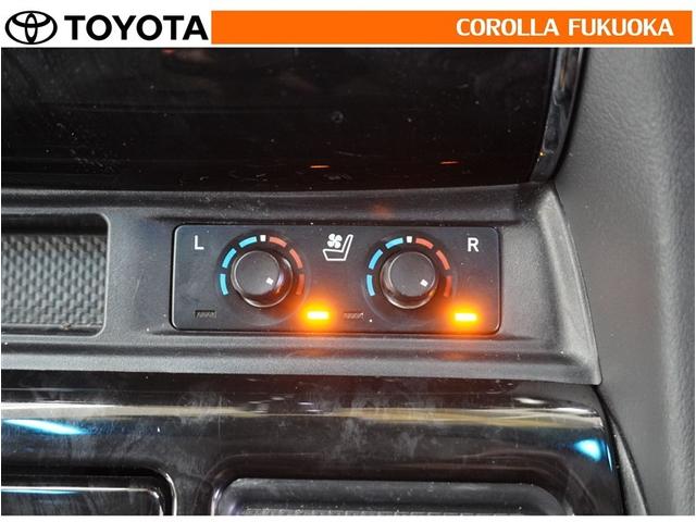 アルファード ２．５Ｓ　Ｃパッケージ　衝突被害軽減システム　両側電動スライド　メモリーナビ　フルセグ　ＥＴＣ　バックカメラ　ドラレコ　後席モニター　ＣＤ　ＤＶＤ再生　キーレス　スマートキー　盗難防止装置（31枚目）