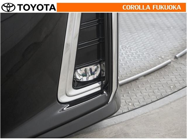 アルファード ２．５Ｓ　Ｃパッケージ　衝突被害軽減システム　両側電動スライド　メモリーナビ　フルセグ　ＥＴＣ　バックカメラ　ドラレコ　後席モニター　ＣＤ　ＤＶＤ再生　キーレス　スマートキー　盗難防止装置（36枚目）