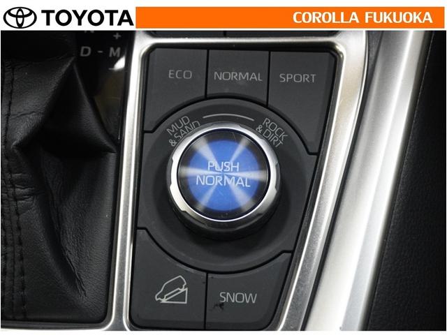 ＲＡＶ４ アドベンチャー　衝突被害軽減システム　４ＷＤ　フルセグ　ＥＴＣ　バックカメラ　キーレス　スマートキー　盗難防止装置（24枚目）