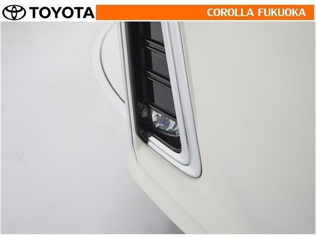 アルファード ２．５Ｓ　Ｃパッケージ　衝突被害軽減システム　両側電動スライド　メモリーナビ　フルセグ　ＥＴＣ　バックカメラ　後席モニター　ＣＤ　ＤＶＤ再生　キーレス　スマートキー　盗難防止装置（30枚目）