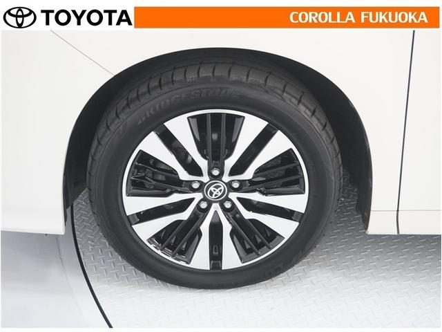 アルファード ２．５Ｓ　Ｃパッケージ　衝突被害軽減システム　両側電動スライド　メモリーナビ　フルセグ　ＥＴＣ　バックカメラ　後席モニター　ＣＤ　ＤＶＤ再生　キーレス　スマートキー　盗難防止装置（31枚目）