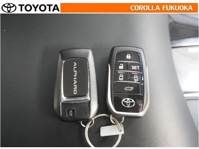 アルファード ２．５Ｓ　Ｃパッケージ　衝突被害軽減システム　両側電動スライド　メモリーナビ　フルセグ　ＥＴＣ　バックカメラ　後席モニター　ＣＤ　ＤＶＤ再生　キーレス　スマートキー　盗難防止装置（33枚目）