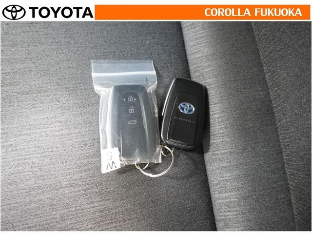 �g���^�J���[�������i���j�̍݌ɂ��������������L��������܂��B����Ƃ��������̒��A�X�������肢�\���グ�܂��B