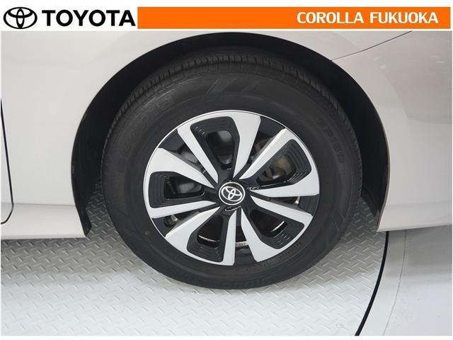 ���q�l�̃J�[���C�t���T�|�[�g�I���S�A���S�����b�g�[�ɁA���̂��Ԃ̔[�Ԏ��ɂ̓^�C�����S�{�V�i�����������܂��B