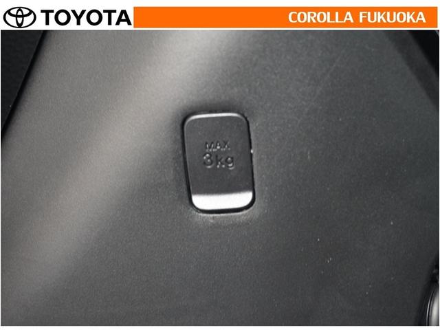 �V���b�s���O�t�b�N�Ƀo�b�N���̎�������|���Ă����΁A�^�]���ɓ|�ꂽ�藎�����肪�C�ɂȂ�Ȃ��̂ŁA�^�]�ɏW���ł��܂��ˁI