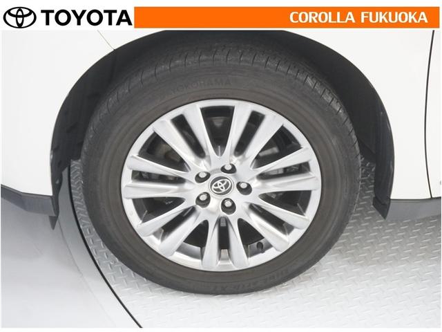 ���q�l�̃J�[���C�t���T�|�[�g�I���S�A���S�����b�g�[�ɁA���̂��Ԃ̔[�Ԏ��ɂ̓^�C�����S�{�V�i�����������܂��B