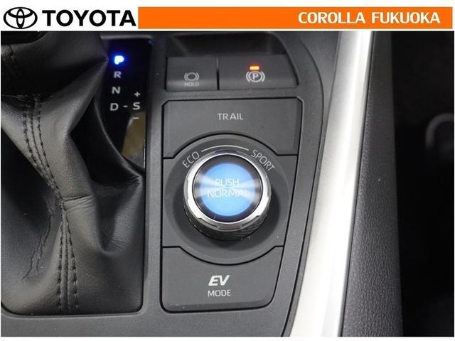 ＲＡＶ４ ハイブリッドＧ　衝突被害軽減システム　４ＷＤ　ＥＴＣ　バックカメラ　キーレス　スマートキー　盗難防止装置（28枚目）