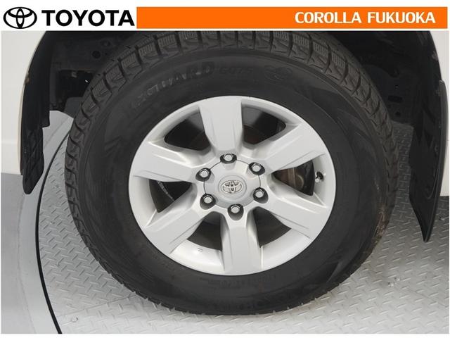 ���q�l�̃J�[���C�t���T�|�[�g�I���S�A���S�����b�g�[�ɁA���̂��Ԃ̔[�Ԏ��ɂ̓^�C�����S�{�V�i�����������܂��B