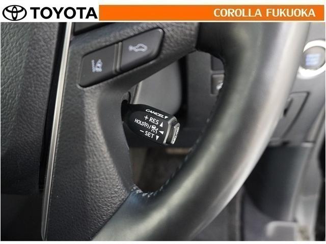 アルファード ３．５ＳＣ　衝突被害軽減システム　サンルーフ　両側電動スライド　メモリーナビ　フルセグ　ＥＴＣ　バックカメラ　ドラレコ　後席モニター　ＣＤ　ＤＶＤ再生　キーレス　スマートキー　アイドリングストップ　盗難防止装置（23枚目）