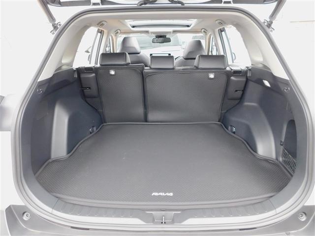 RAV4 G パノラマムーンルーフ Bカメラ TV パワーウインドウ カーテンエアバック 運転席パワーシート ワンオーナ イモビライザー 地デジ キーレス ETC付 LEDヘッドライ クルコン オートエアコン AW(9枚目)