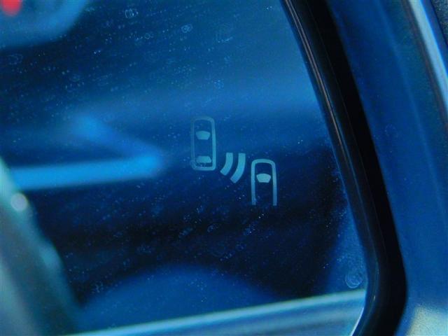 �u���C���h�X�|�b�g���j�^�[