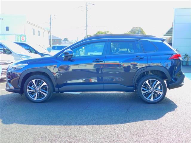 �l�C�̃{�f�B�J���[