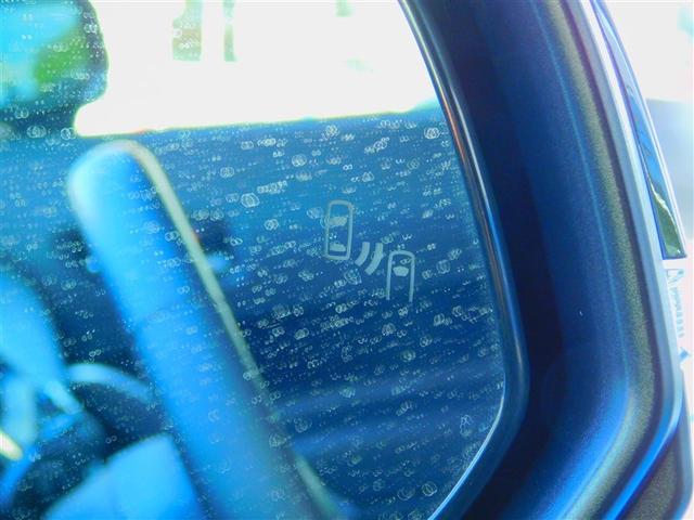 �u���C���h�X�|�b�g���j�^�[