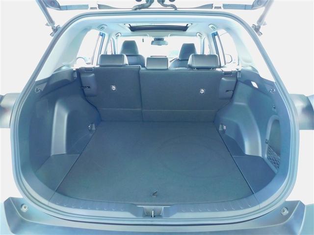 ＲＡＶ４ ハイブリッドＧ　試乗車　ドラレコ付き　盗難防止　ＡＣ１００　ＬＥＤランプ　点検記録簿　スマートキー＆プッシュスタート　オートエアコン　４ＷＤ車　メディアプレイヤー接続　横滑防止　運転席パワーシート　ＡＷ　エアバッグ（10枚目）