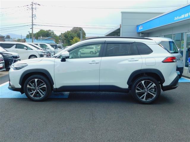 �l�C�̃{�f�B�J���[�̃v���`�i�z���C�g�p�[���}�C�J