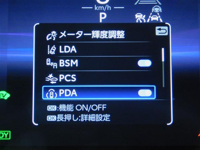 �v���A�N�e�B�u�h���C�r���O�A�V�X�g�t��