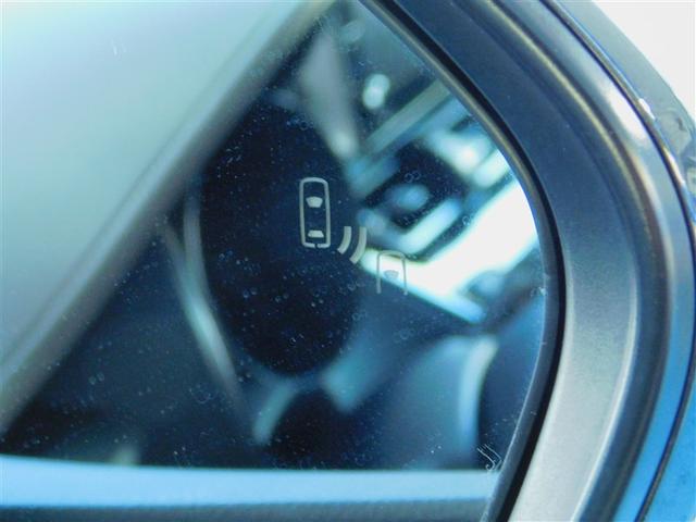 �u���C���h�X�|�b�g���j�^�[