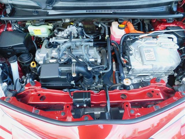 �P�D�T�k�G���W���{�n�C�u���b�h�V�X�e��