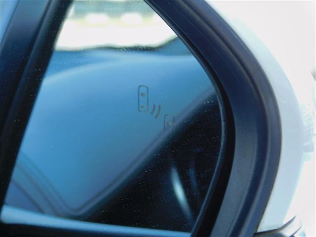 �u���C���h�X�|�b�g���j�^�[