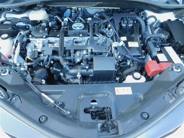 �P�D�W�k�G���W���{�n�C�u���b�h�V�X�e��