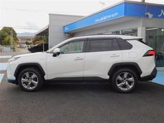 �͵��Υۥ磻�ȥѡ��륯�ꥹ���륷�㥤�� 2