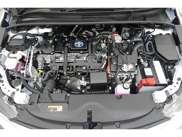 ���G���W�����[�����N��-�j���O�ς݁I�z�R����D�A�I�C������𗎂Ƃ��Ă��璚�J�ɐ�򂵂܂����I�����̂Ƃ���s�J�s�J�ł��I